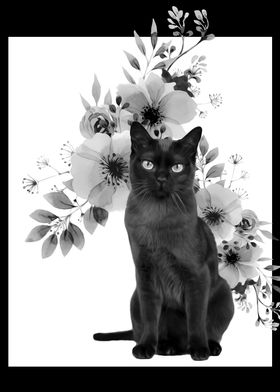 Flower Kitty