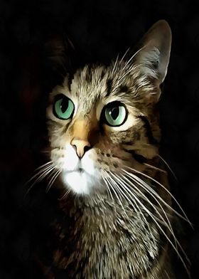 Tabby Cat With Green Eyes 