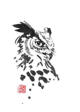 owl