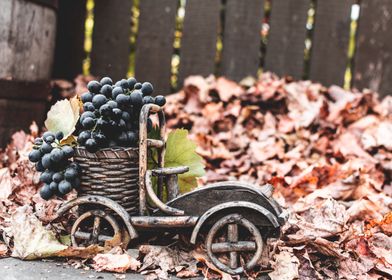 Autumn still life grapes