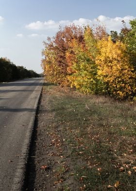 Autumn landscape