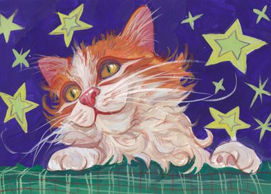 Star cat