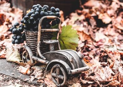 Autumn still life grapes