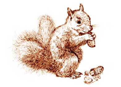 Squirrel enjoying peanuts