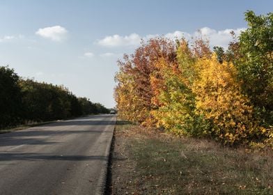 Autumn landscape