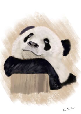 The relaxing panda