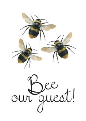 Bee our guest