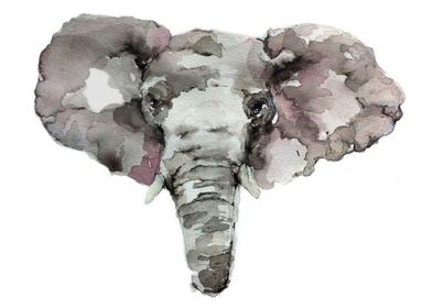 The Elephant