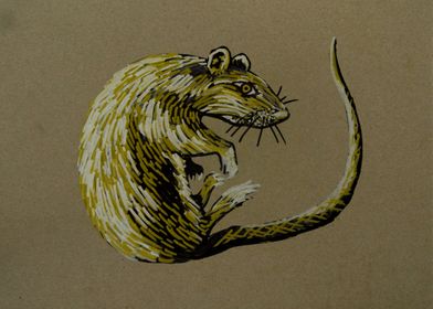 Golden Rat