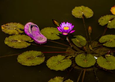 Flower and sleeper 