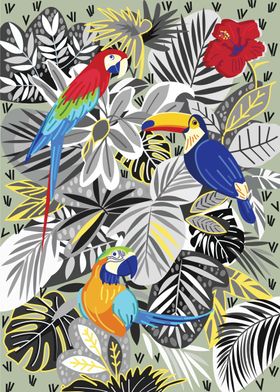 Tropical Birds 