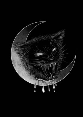 The cat and the moon