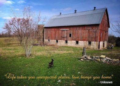 Home Quote w Dog and Barn