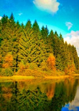 Sunshine Trees in a Lake