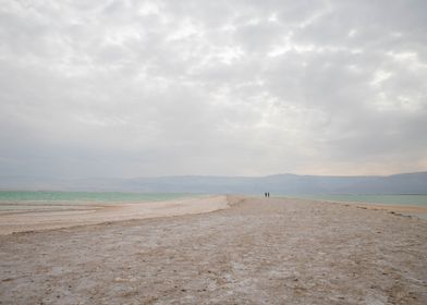 The Dead Sea 