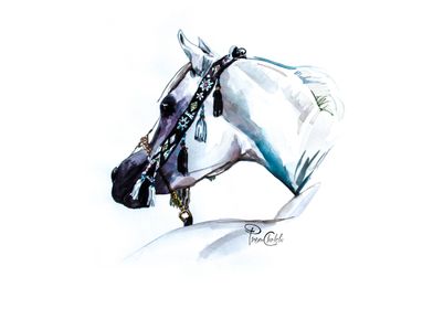 Arabian horse