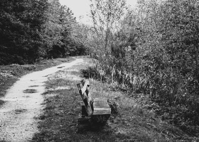 the bench