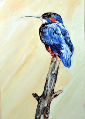 King fisher
