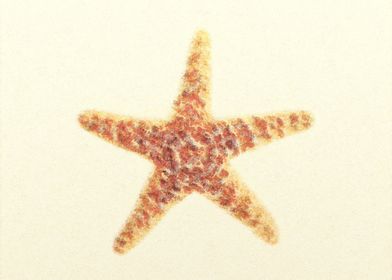 Starfish