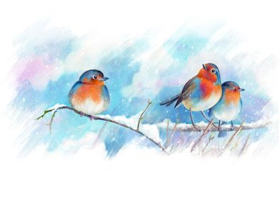 Watercolor birds Robin red