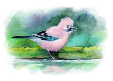 Watercolor Eurasian jay