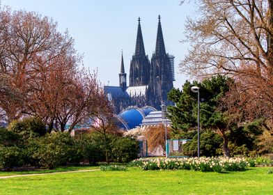 Kolner Dom Rheinpark Koln