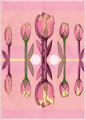 Pink Tulips