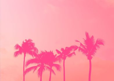 Pink palm tree silhouette