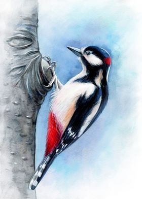 Great Spotted Woodpecker