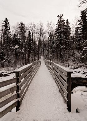 Stroll in Canada