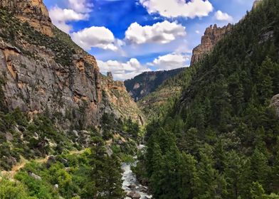 Tongue River Canyon Trail
