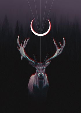 Deer From the Woods