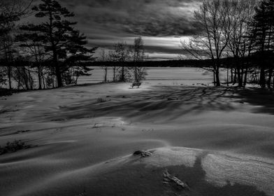 The Empty Bench