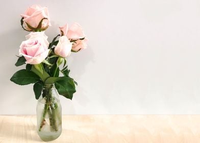 Pink pastel rose in glass 