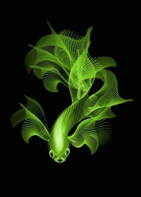 fighter fish in lime color