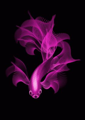 pink fighter fish