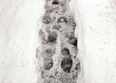 Footprints in the snow