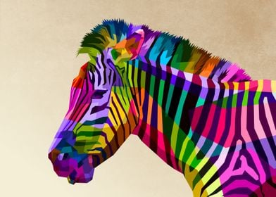 colorful zebra portrait