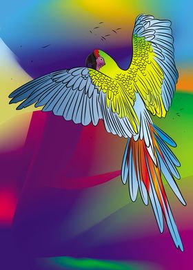 Wild Macaw 04