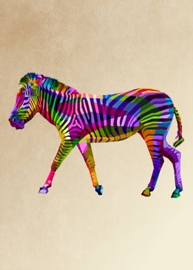 colorful zebra