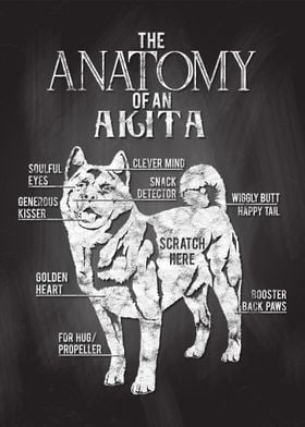 Aktita Anatomy DogLover