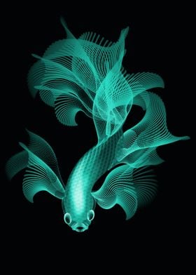 fighter fish in aqua color