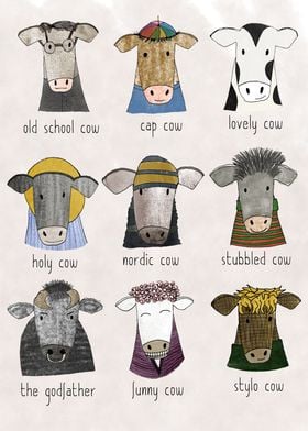 Cow collection