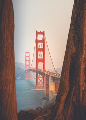 San Francisco Photography