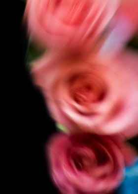 Blurred roses bouquet