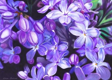 Lilac painting