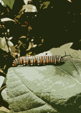 Caterpillar