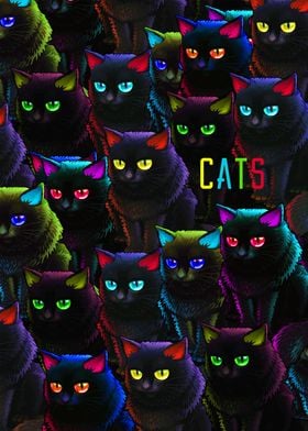Black cats with color eyes