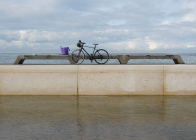 Bicycle and Bag