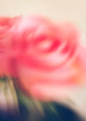 Blurred roses bouquet